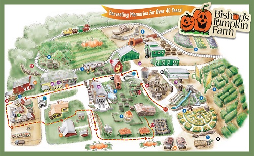 Attractions Map for Bishops Pumpkin Patch in Wheatland, CA, showing location of pgi races, gem stone mining, train, tree house, great pumpkin, gift shop, Pigadelli Square restaurants, BBQ, corn maze, antique tractors, and much more!